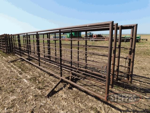 (5) freestanding 24' cattle panels,